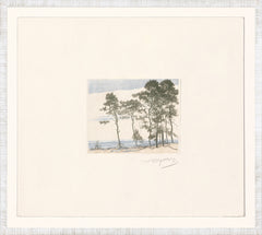 19 × 17 in