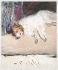 19 × 23 in