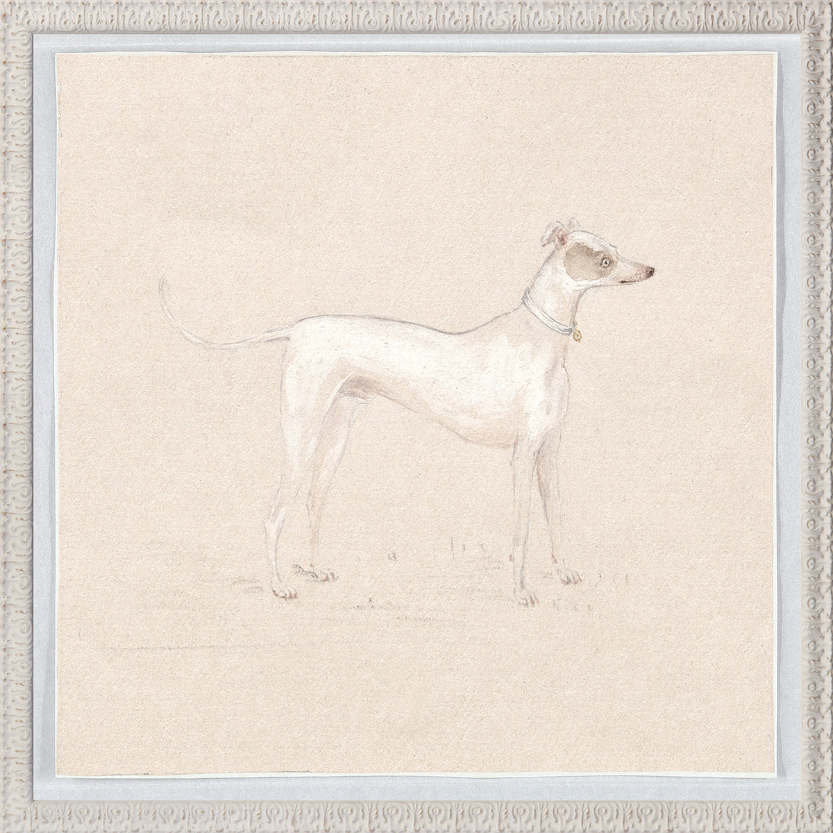 Collection 24 Pastel Dog Study C. 1820