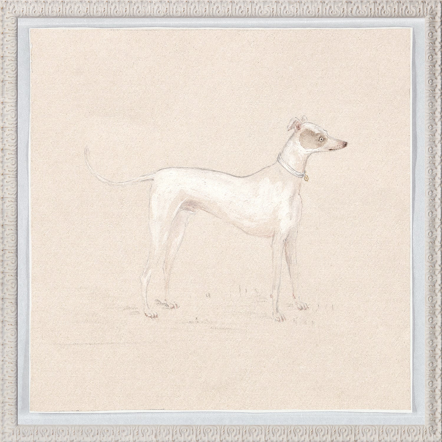 Collection 24 Pastel Dog Study C. 1820