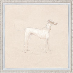 19.5 × 19.5 in