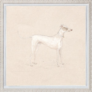 Collection 24 Pastel Dog Study C. 1820