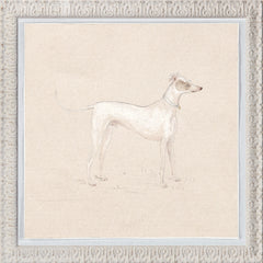 11.5 × 11.5 in