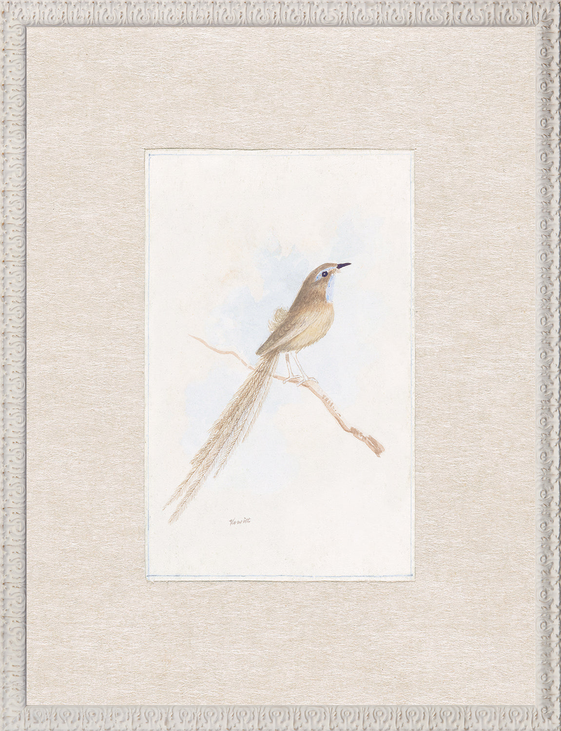 Collection 24 Songbird