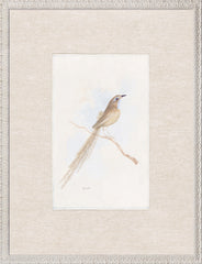 16.5 × 21.5 in