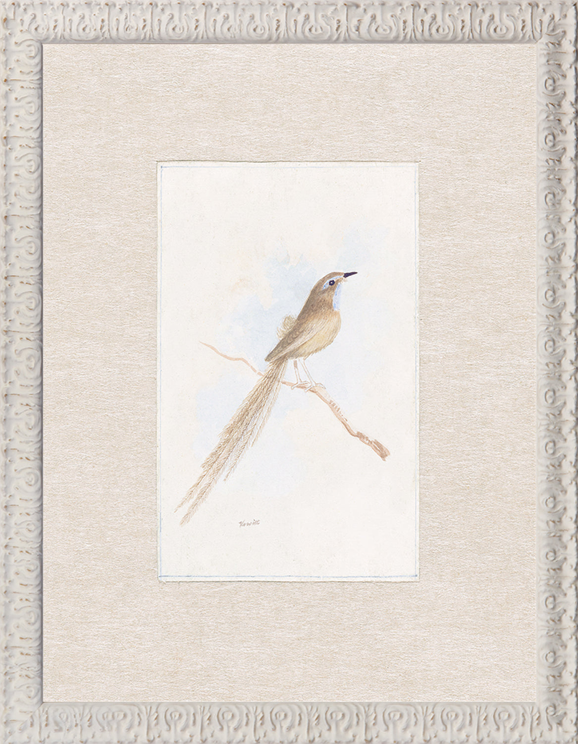 Collection 24 Songbird C 1847 framed art print