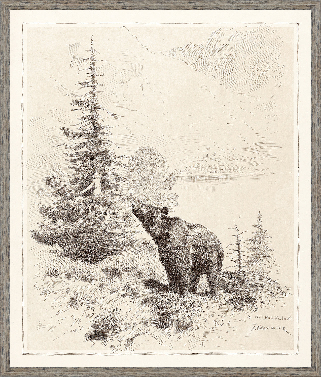 Bear in the Mountains