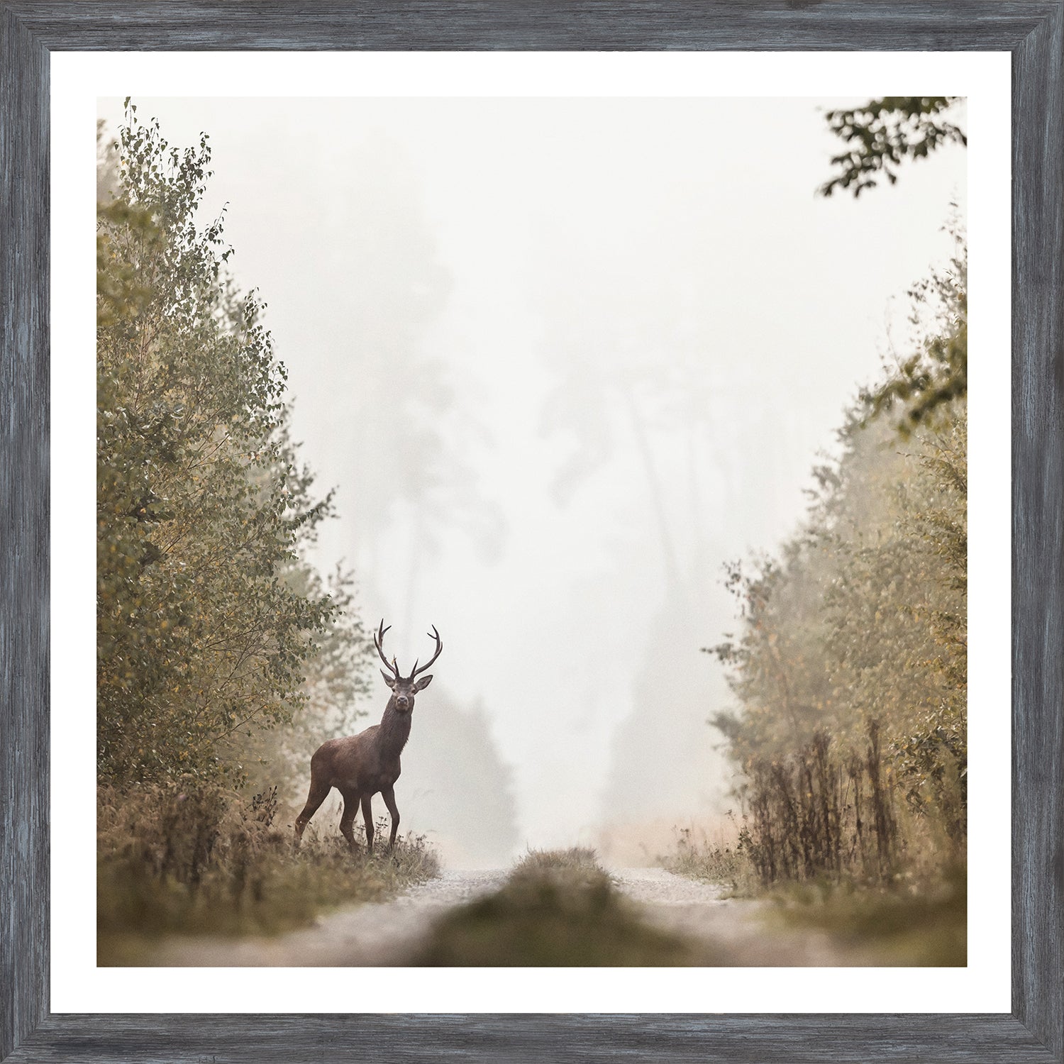 On Alert — nature and landscape fine art print in cool tones at Laurie Yapp Home