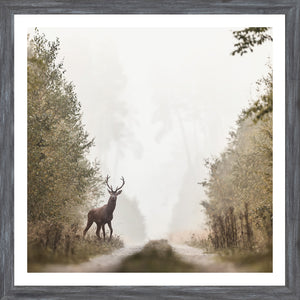 On Alert — nature and landscape fine art print in cool tones at Laurie Yapp Home