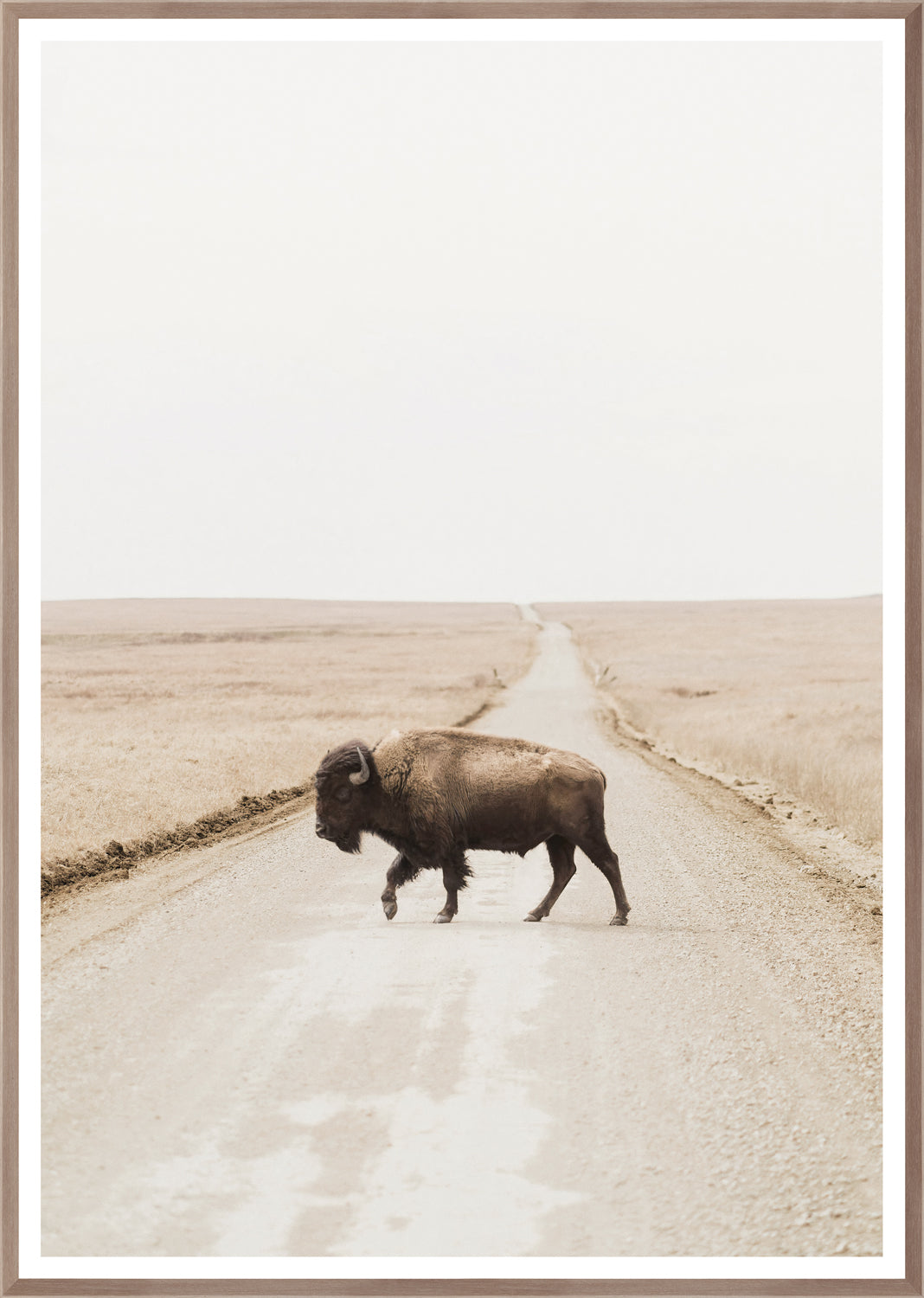 Plains Wildlife Pair Bundle - composite