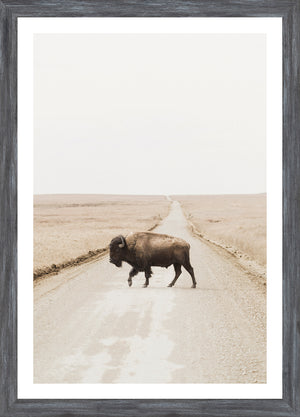 Prairie Range — nature and landscape fine art print in neutral tones at Laurie Yapp Home