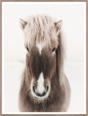 39.5 × 52.5 in – Glass Framed, Natural Frame