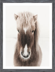 20 × 26 in – Glass Framed, Grey Frame