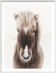 19 × 25 in – Glass Framed, White Frame