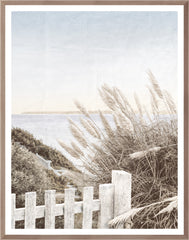 29.5 × 37.5 in