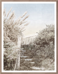 29.5 × 37.5 in