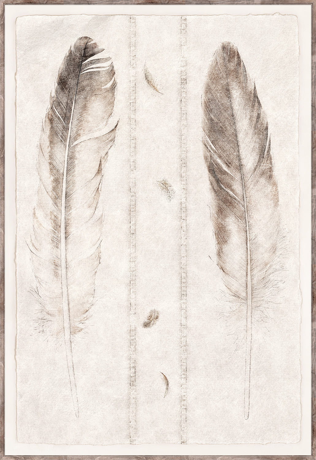 Étude de Plumes Large Format Pair Bundle