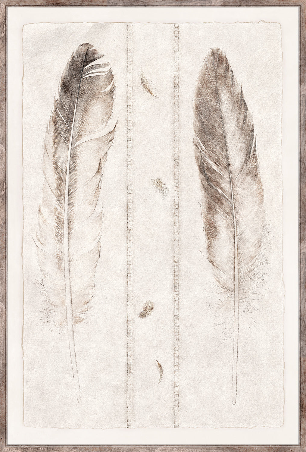 Etude De Plumes I framed art print