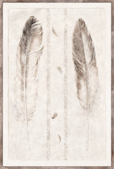 21 × 31 in