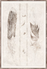21 × 31 pulgadas