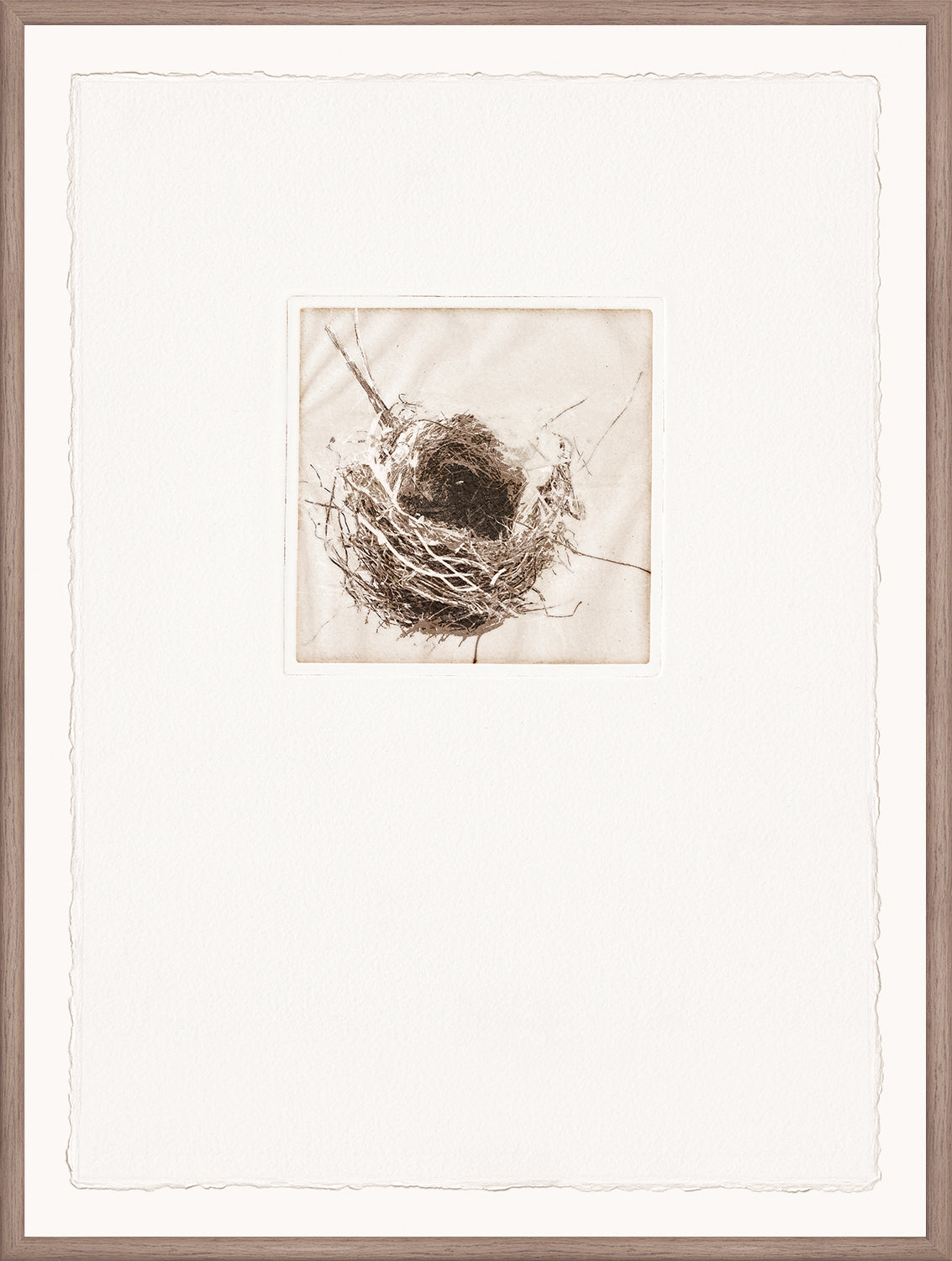 Intaglio Nests I