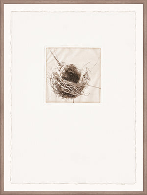 Intaglio Nests I