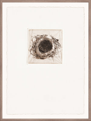 Intaglio Nests II