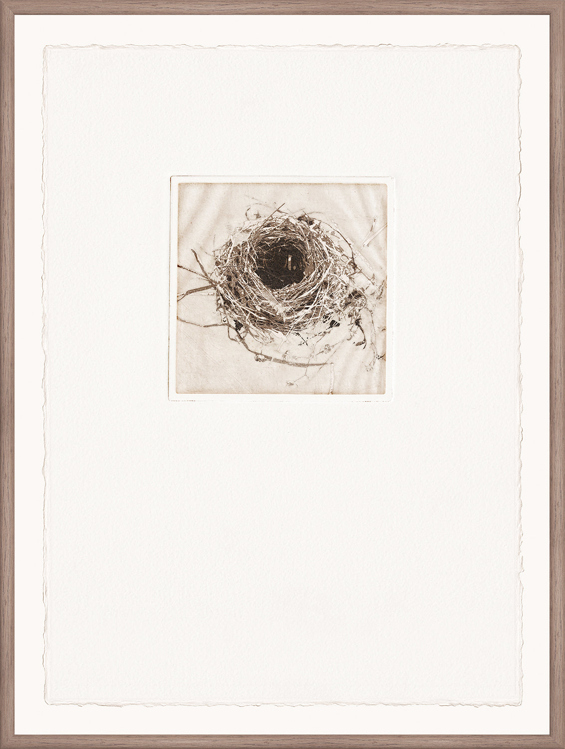 Intaglio Nests III