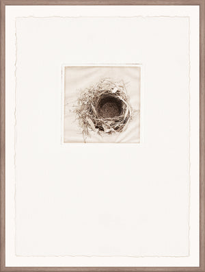 Intaglio Nests IV