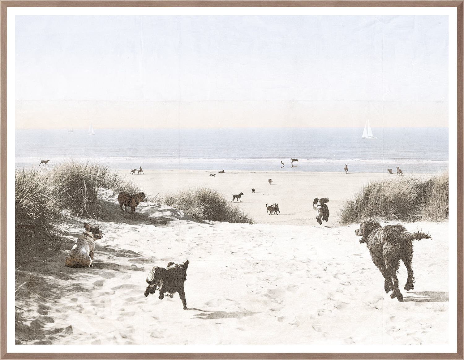 Dogs Only Beach wall art
