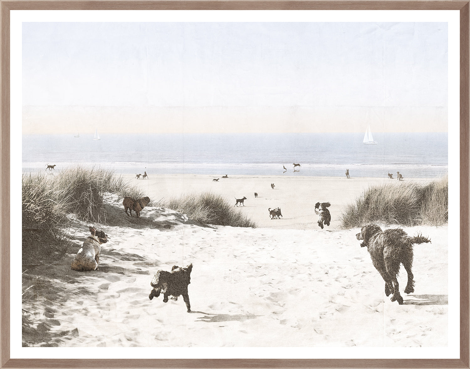 Dogs Only Beach wall art