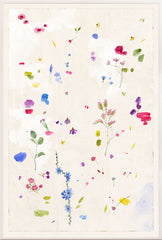 33.5 × 49.5 in