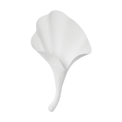 Blanco Gesso