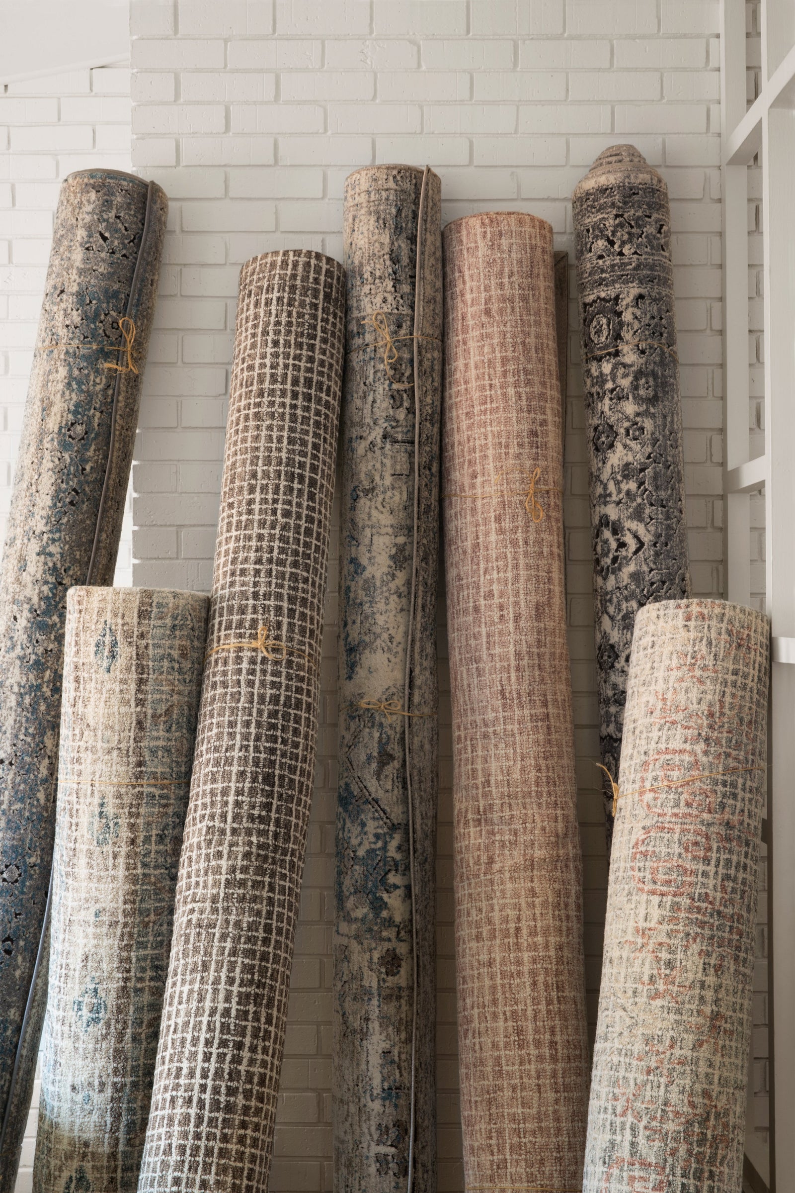 Giana Blush — a Loloi rug at Laurie Yapp Home.