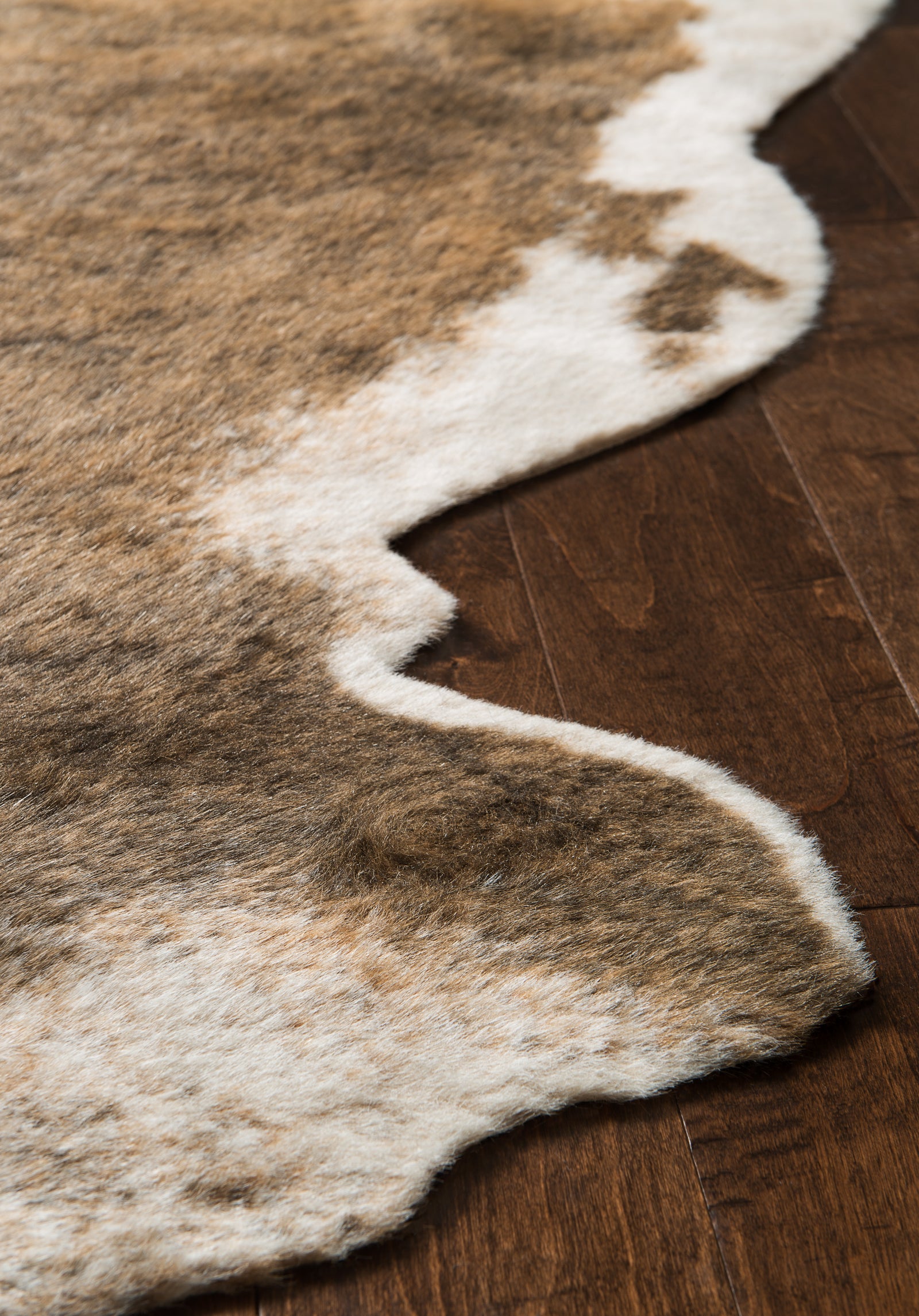 Grand Canyon Camel / Beige — a Loloi rug at Laurie Yapp Home.