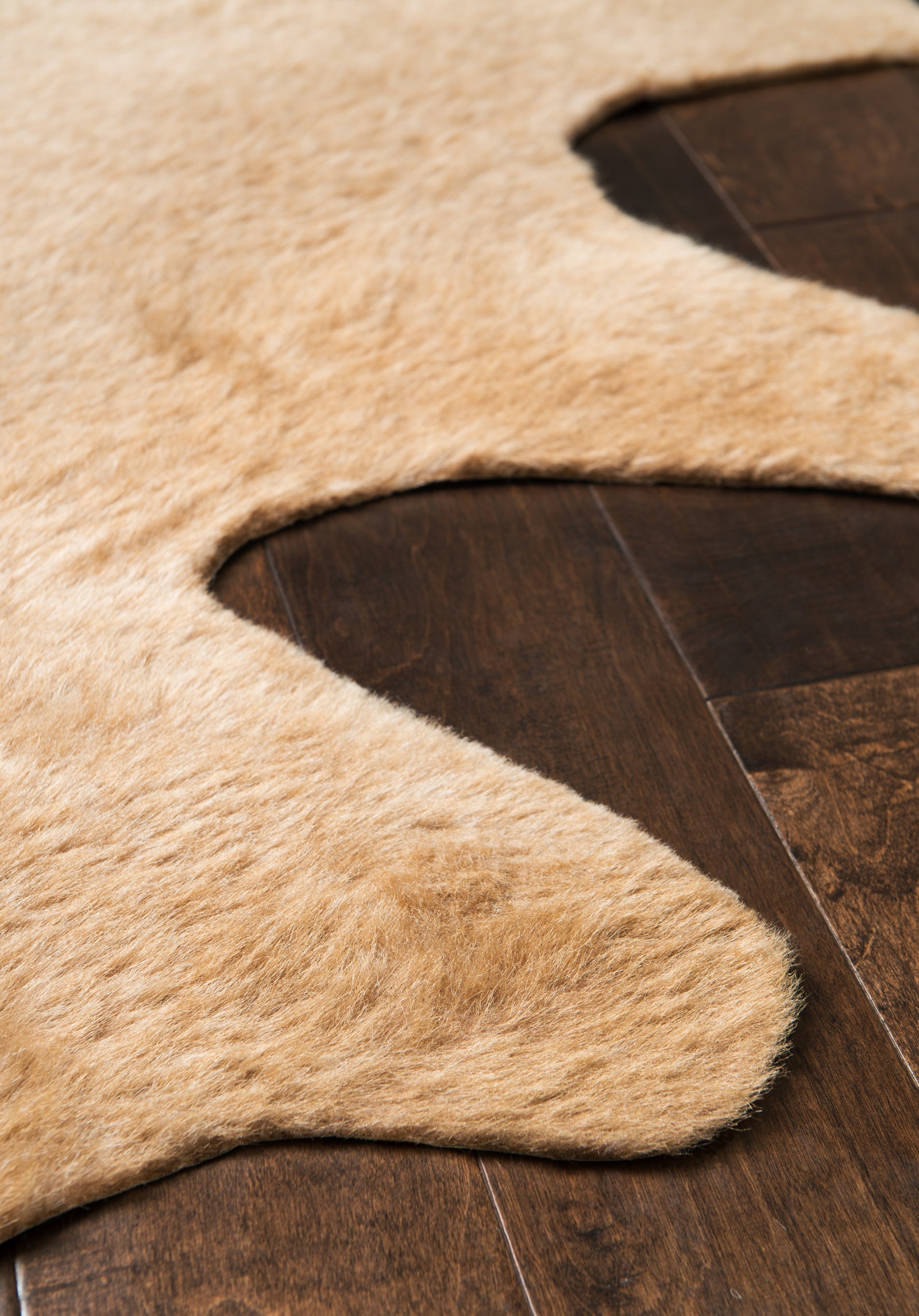 Grand Canyon Tan — a Loloi rug at Laurie Yapp Home.