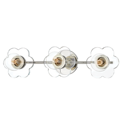 Polished Nickel