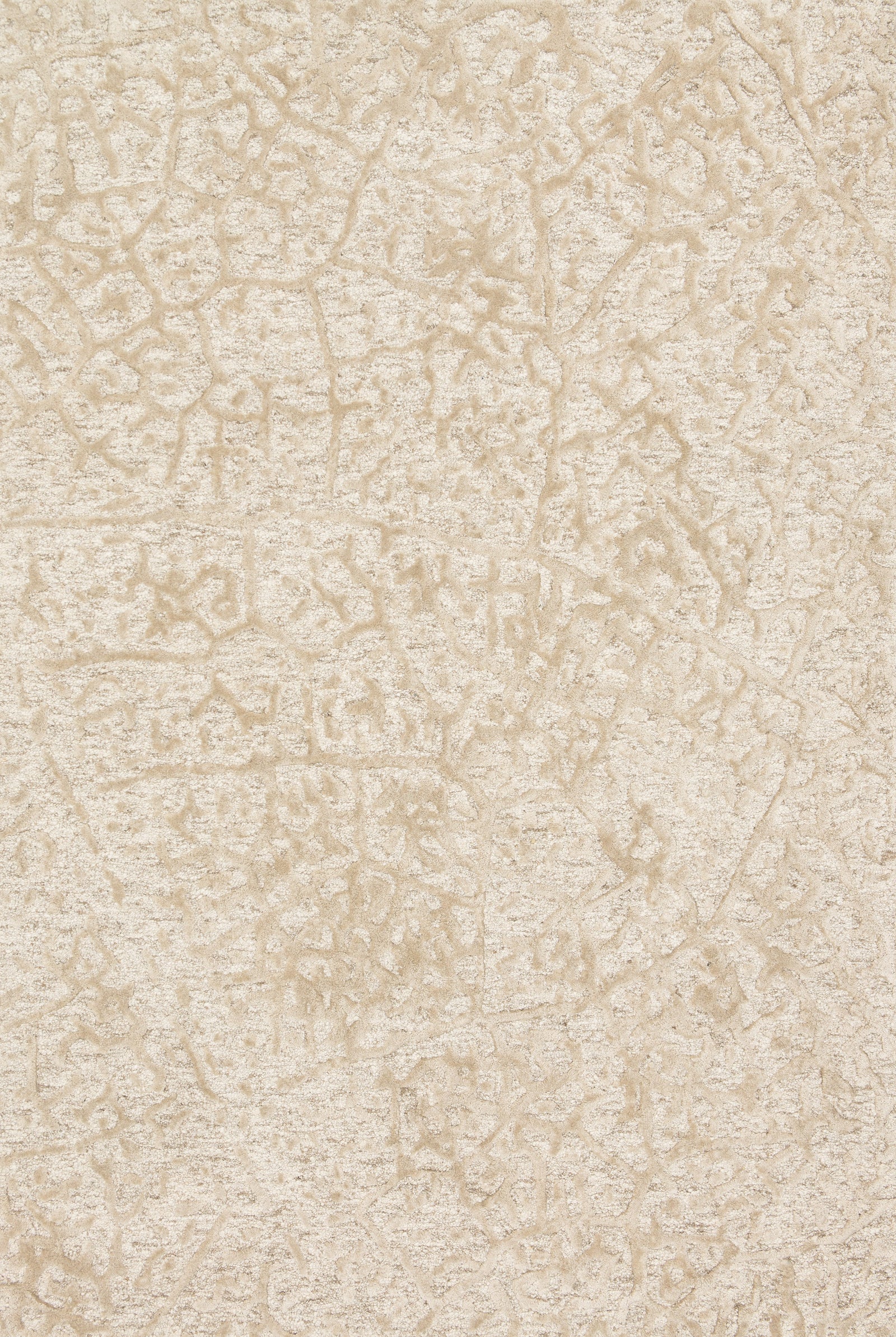 Juneau Ant Ivory / Beige — a Loloi rug at Laurie Yapp Home.