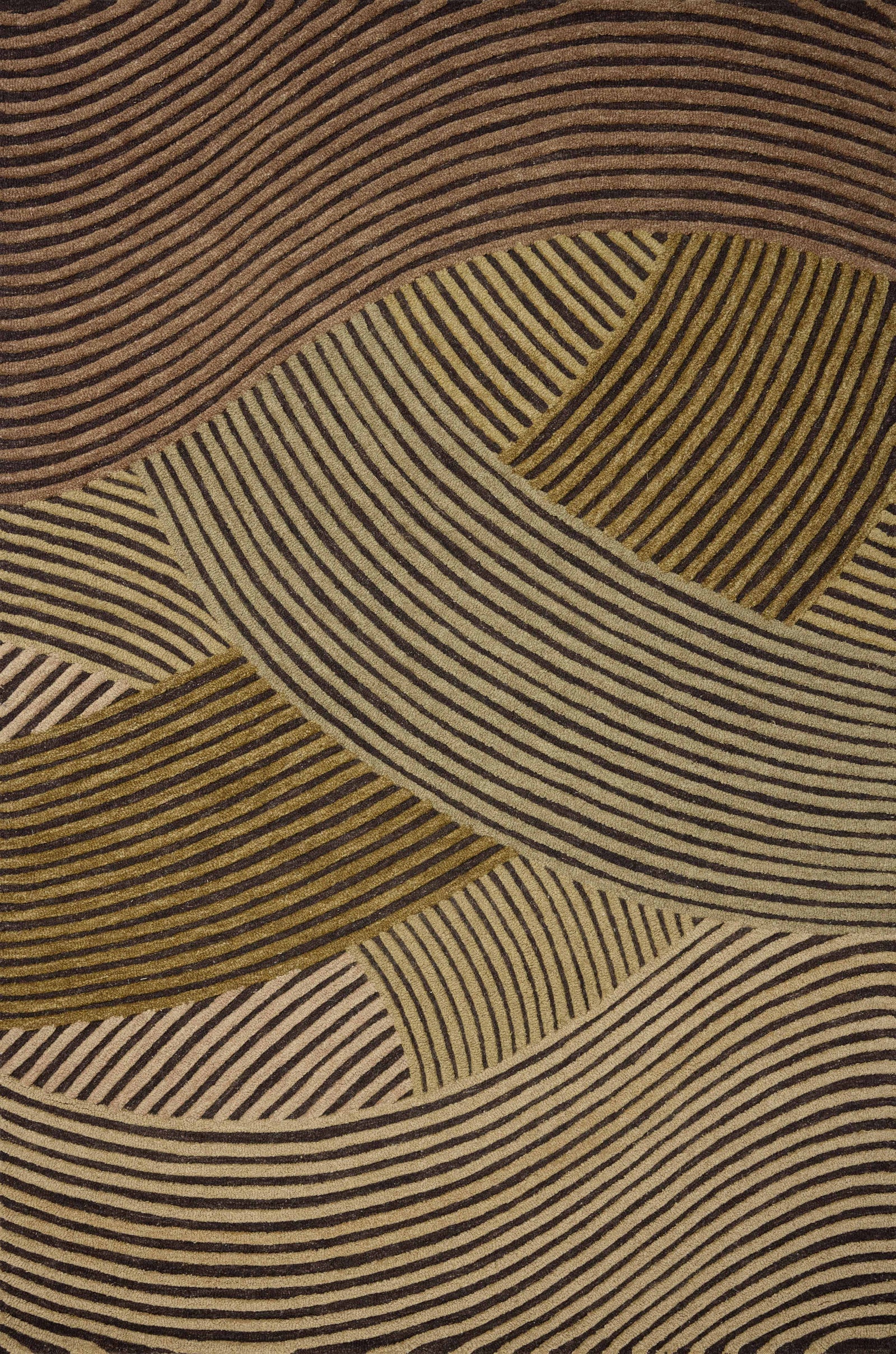 Madi Espresso / Multi — a Loloi rug at Laurie Yapp Home.