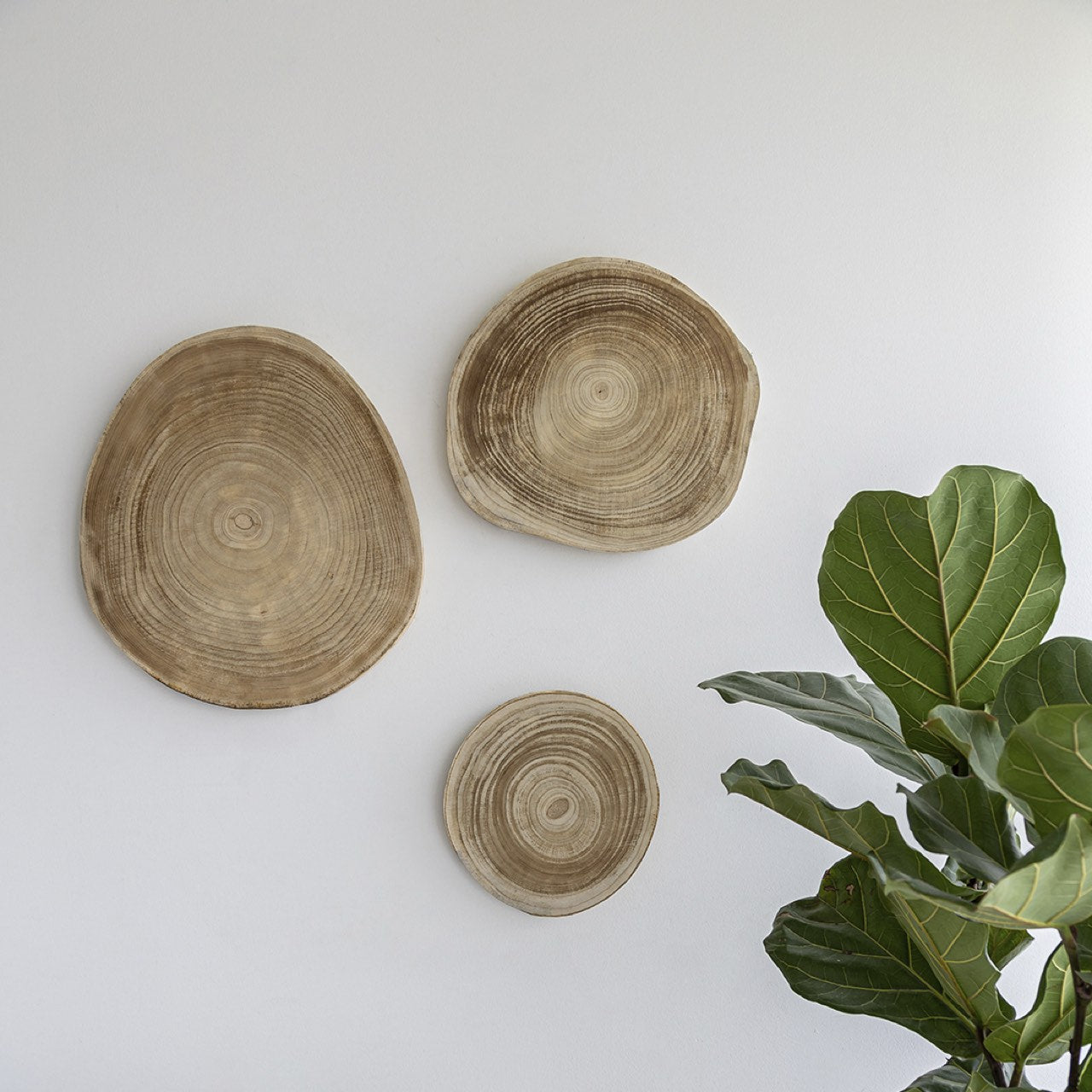 Three wooden wall art pieces on a white wall with a plant in the corner.