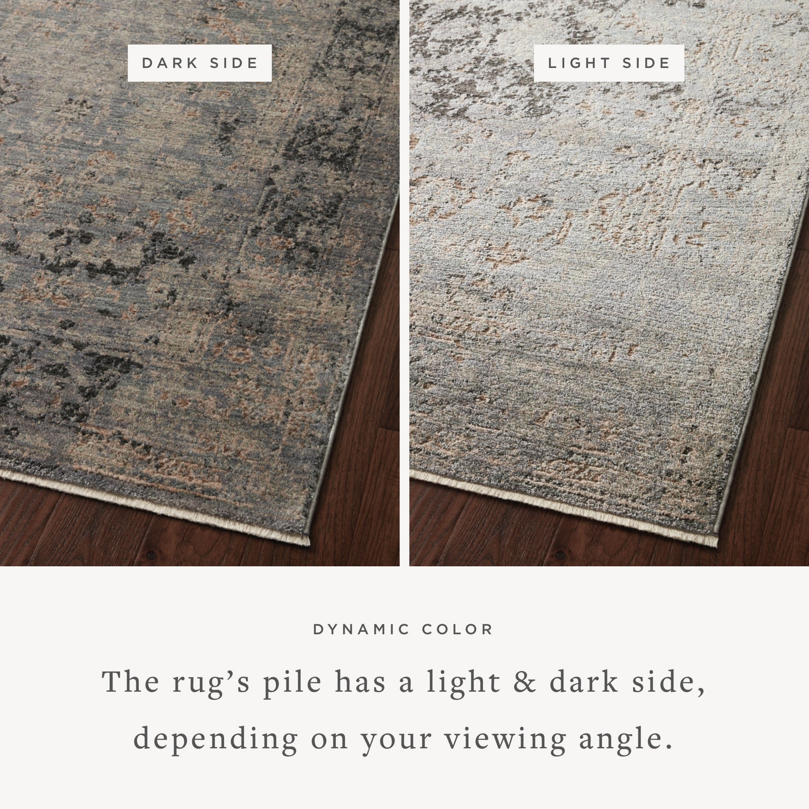Sonnet Charcoal / Slate — a Loloi rug at Laurie Yapp Home.