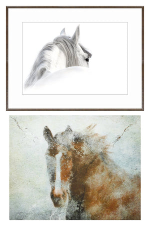 Andalusian & Chestnut Fresco Pair Bundle
