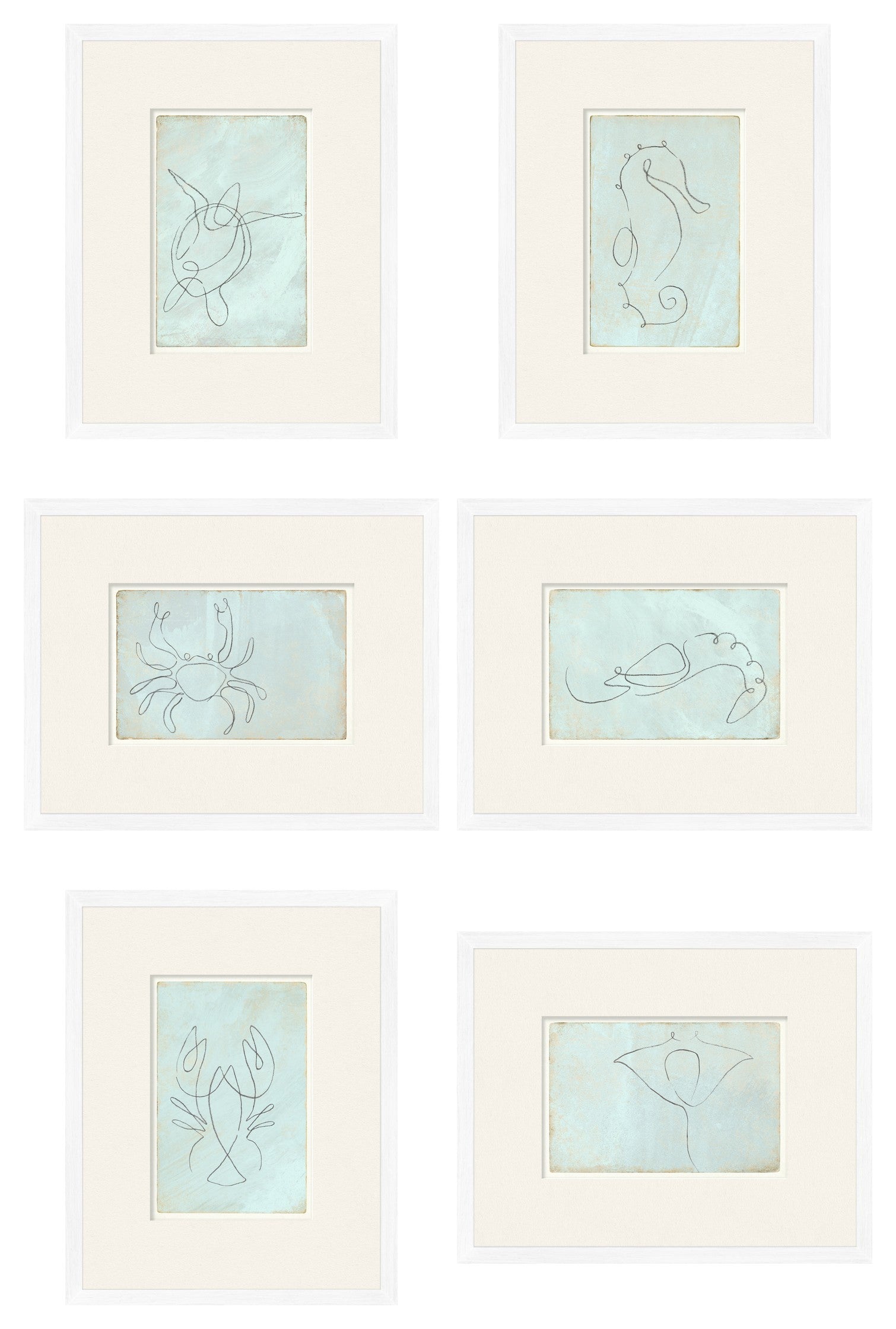 Aqua One Line Marine Sextet Bundle