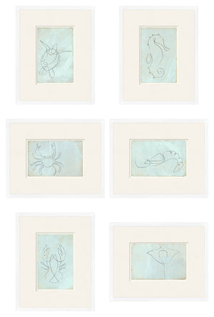Aqua One Line Marine Sextet Bundle