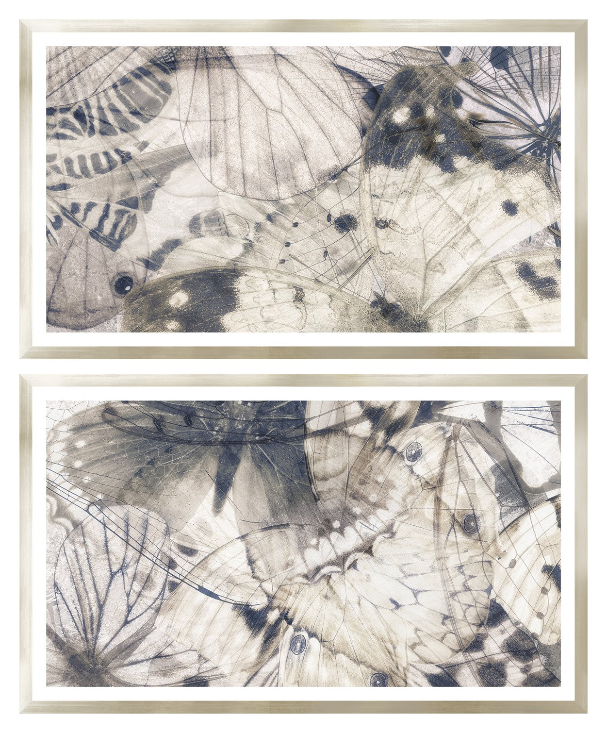 Butterfly Shimmer Pair Bundle