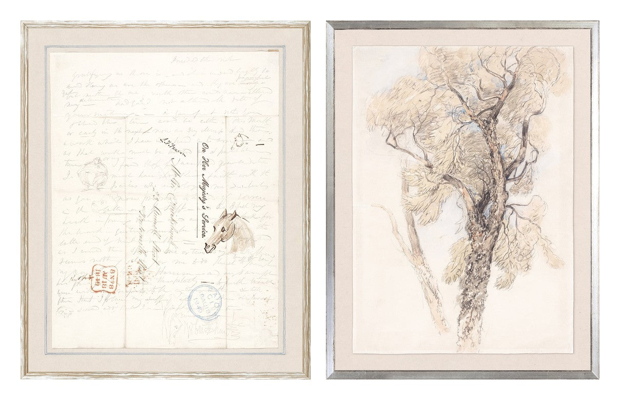 Collection 24 Letter & Tree Study Pair Bundle