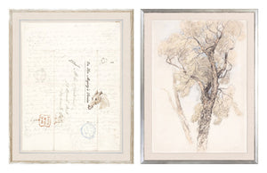 Collection 24 Letter & Tree Study Pair Bundle