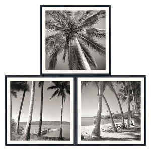 Nostalgic Palm Trees Bundle featuring three black and white framed photos of palm trees and beach scenes.
