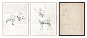Cottage Wildlife Sketches Trio Bundle