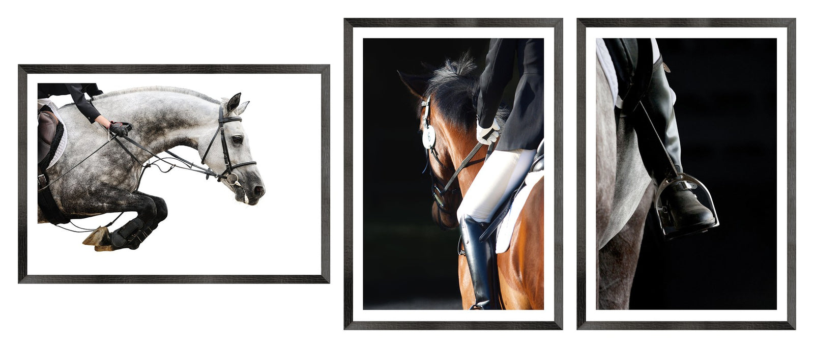Equestrian Detail Trio Bundle